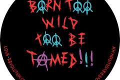 6-Born-Too-Wild-Too-Be-Tamed